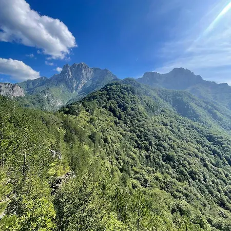 Bela Viadinarica Ravna